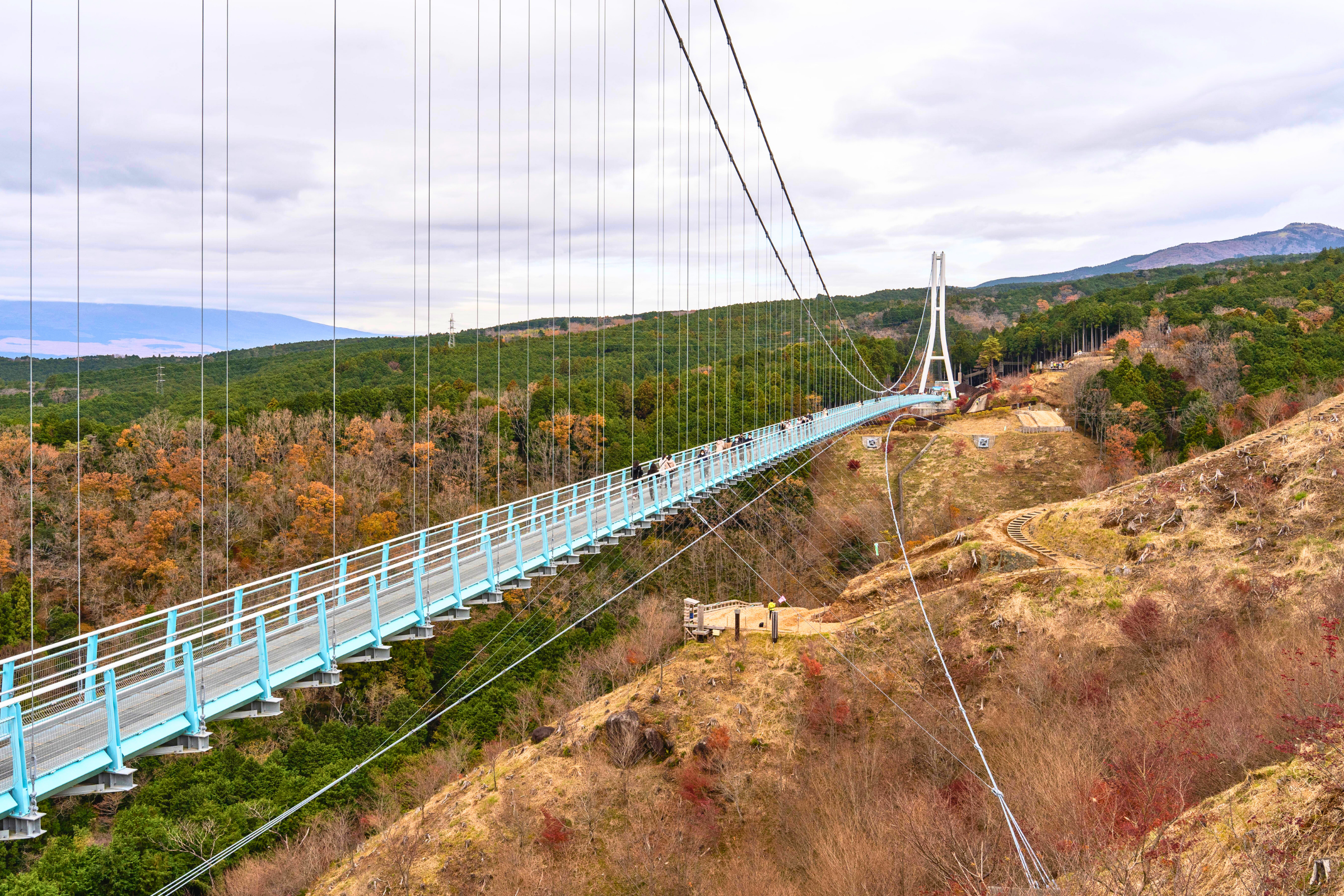 mishima, shizuoka (3).webp